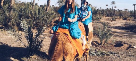 Best Camel ride Marrakech Palmeraie