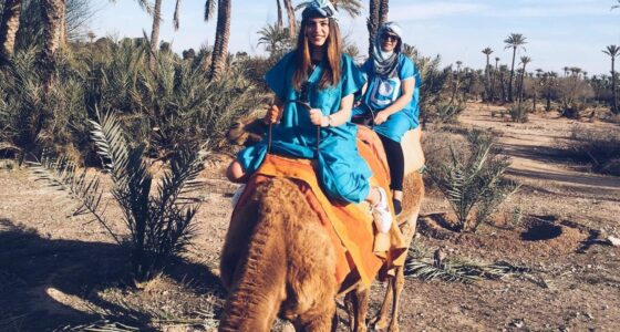 Best Camel ride Marrakech Palmeraie