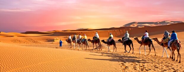 Overnight Camel Trekking Merzouga - Marrakech tours
