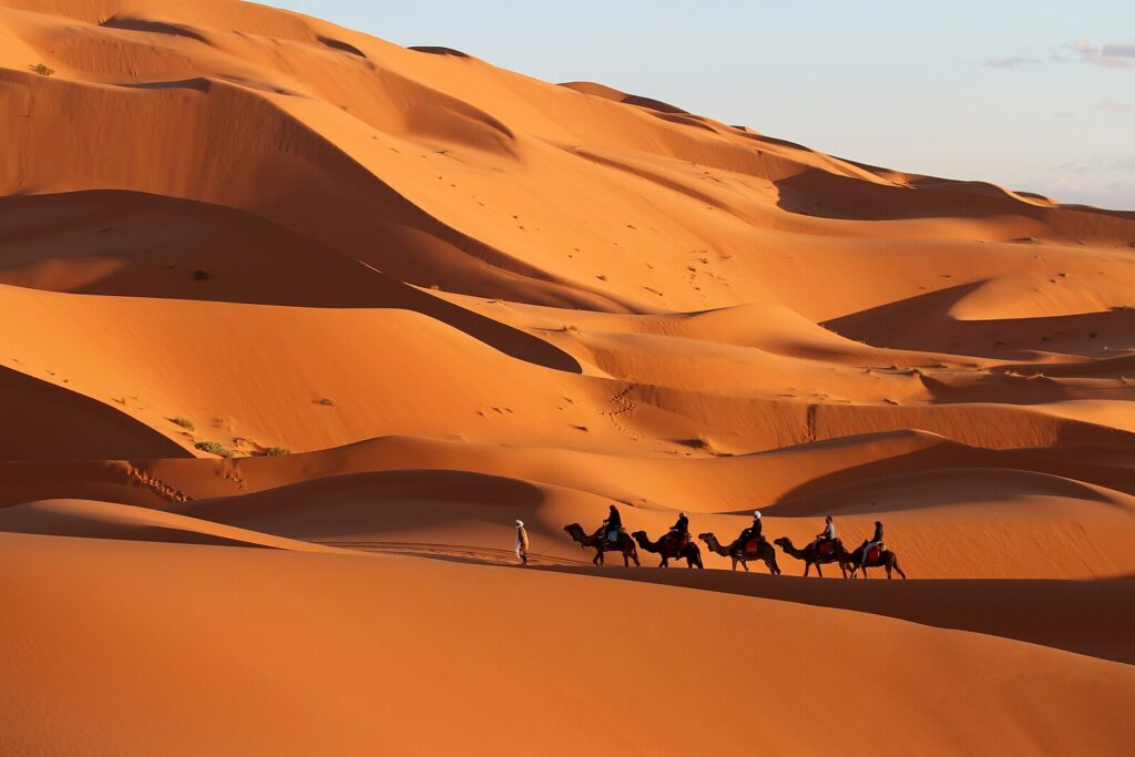 A group of travelers riding camels across the golden sands of the Merzouga desert at sunset, with towering dunes and a vibrant orange sky in the background. The camels create a serene, timeless scene as they traverse the vast, sweeping desert landscape