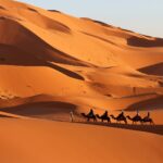 A group of travelers riding camels across the golden sands of the Merzouga desert at sunset, with towering dunes and a vibrant orange sky in the background. The camels create a serene, timeless scene as they traverse the vast, sweeping desert landscape