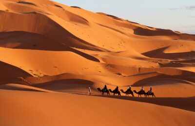 A group of travelers riding camels across the golden sands of the Merzouga desert at sunset, with towering dunes and a vibrant orange sky in the background. The camels create a serene, timeless scene as they traverse the vast, sweeping desert landscape