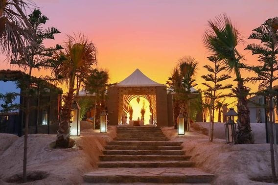 Camel Ride Quad Biking & Dinner With Show