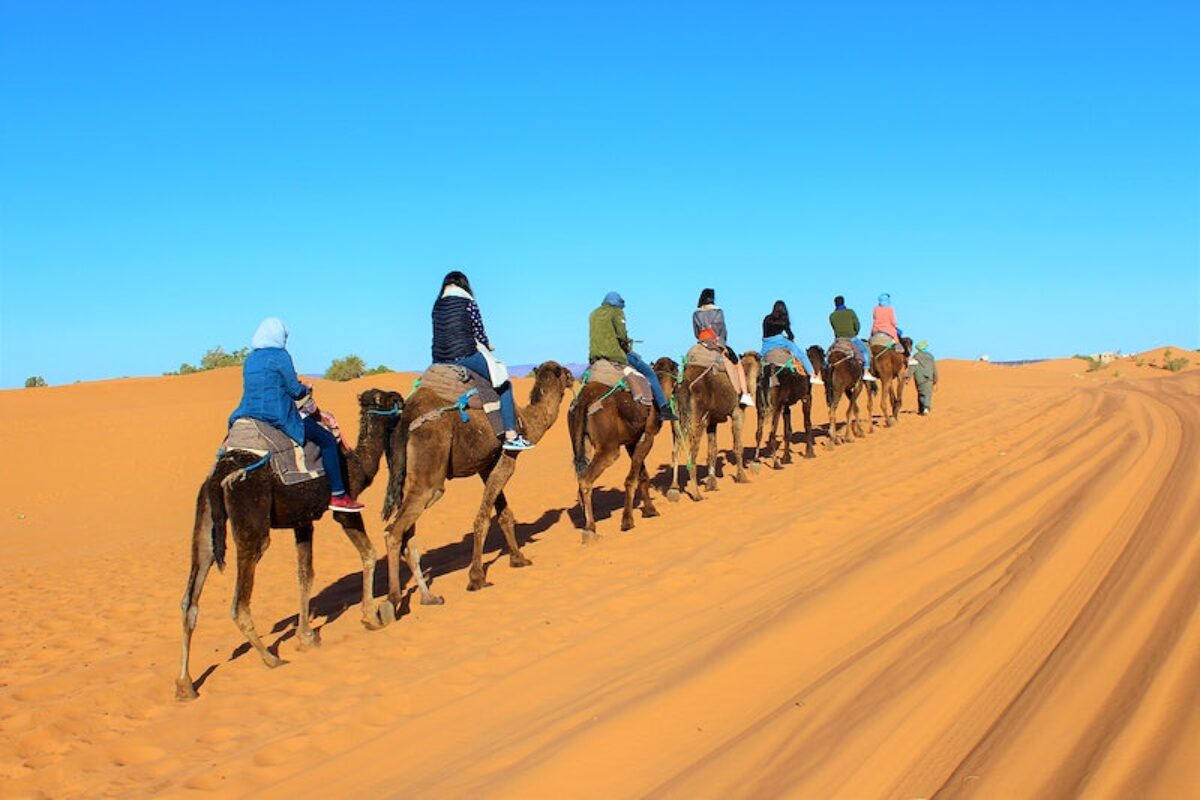 Camel ride in desert Zagora landscape Morocco