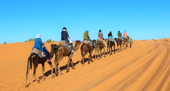 zagora desert tour-from-Marrakech