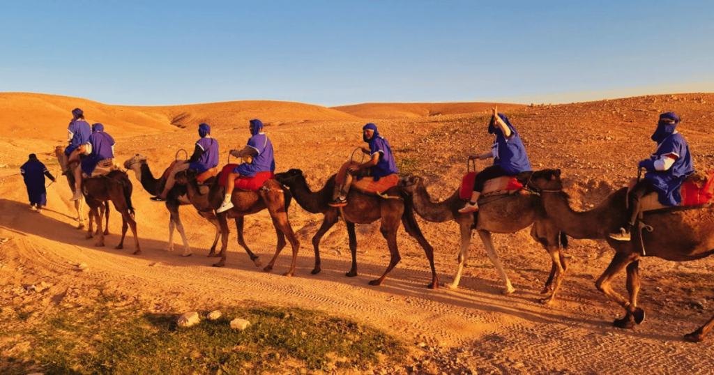 Agafay desert camel ride