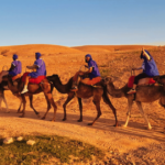 Agafay desert camel ride