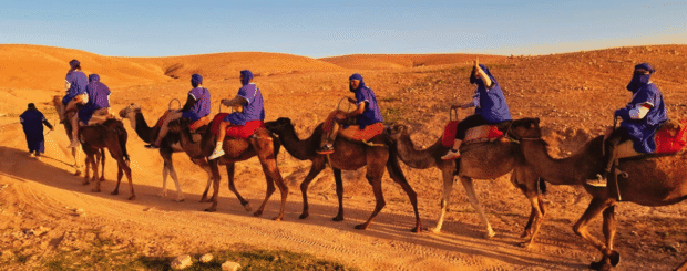 Agafay desert camel ride