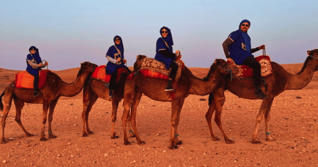 Agafay Desert Camel Ride