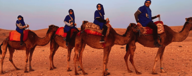 Agafay Desert Camel Ride