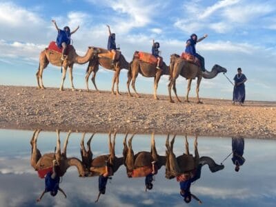 1-hour Agafay desert camel ride