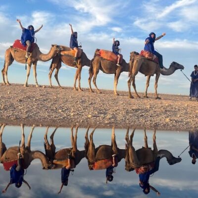 1-hour Agafay desert camel ride