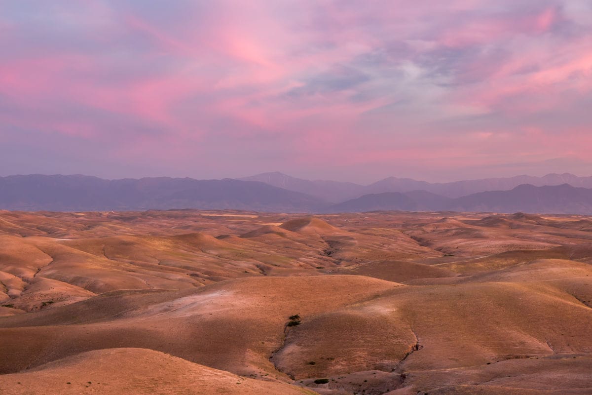 Agafay desert camel ride