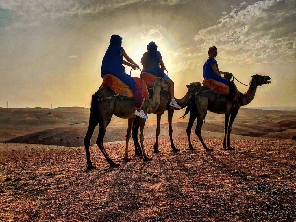 sunset agafay desert camel ride