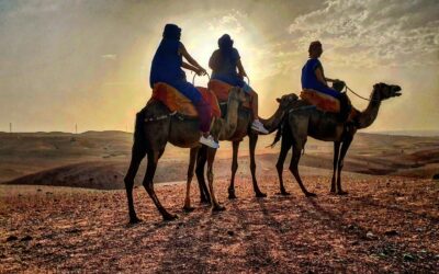 sunset agafay desert camel ride