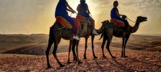 Sunset over the Agafay Desert featuring a camel on a traditional ride in Morocco