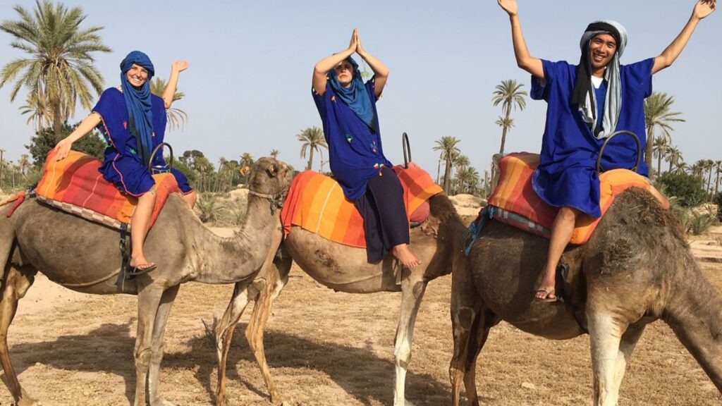 A friendly camel during a family outing in the Palmeraie.