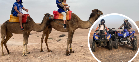 Camel ride in the Agafay Desert with a scenic sunset backdrop