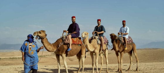 Camel riders exploring the Agafay Desert under the golden sun