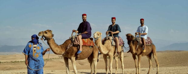 Camel riders exploring the Agafay Desert under the golden sun