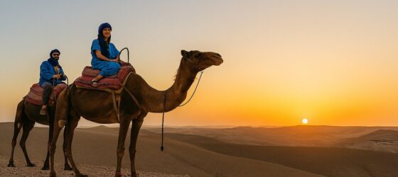 Agafay desert camel ride tour near Marrakech